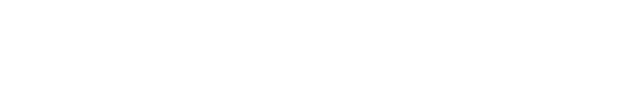 VELVO